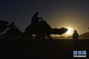 撒哈拉在线观看,在线探索非洲沙漠的壮丽之旅