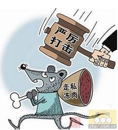 中国养殖行业爆料新闻,最新爆料事件深度剖析